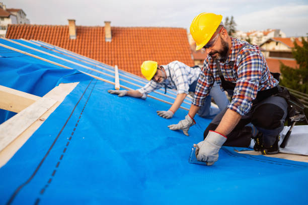 Best Rubber Roofing (EPDM, TPO)  in Metropolis, IL